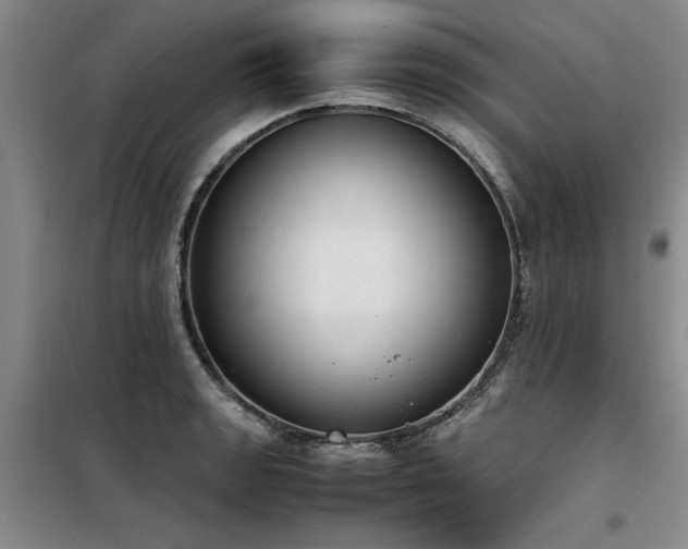 X0000098141133200804171541