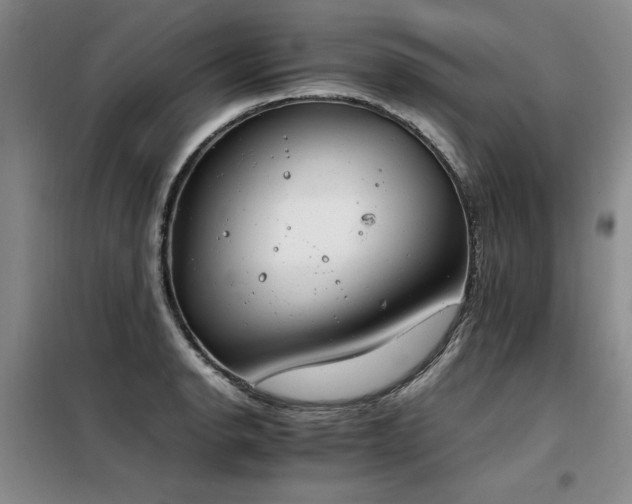 X0000098141134200804171541
