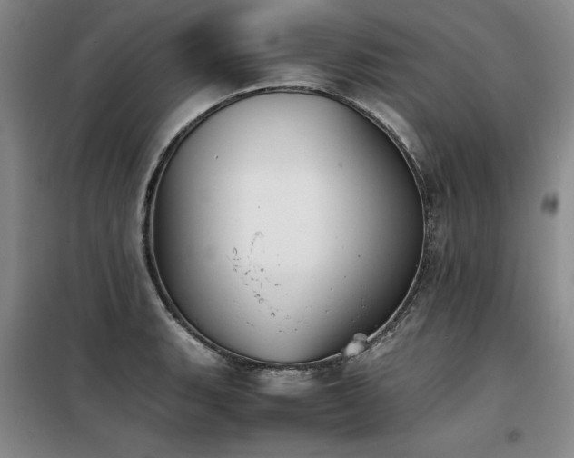 X0000098141135200804171541