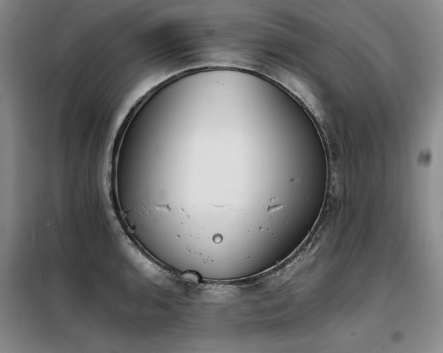 X0000098141136200804171541