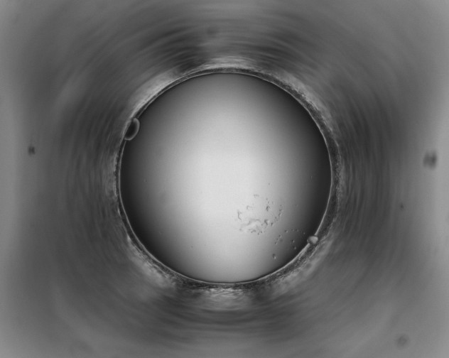 X0000098141137200804171541