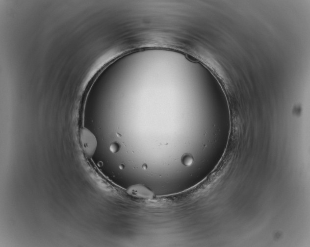 X0000098141138200804171541