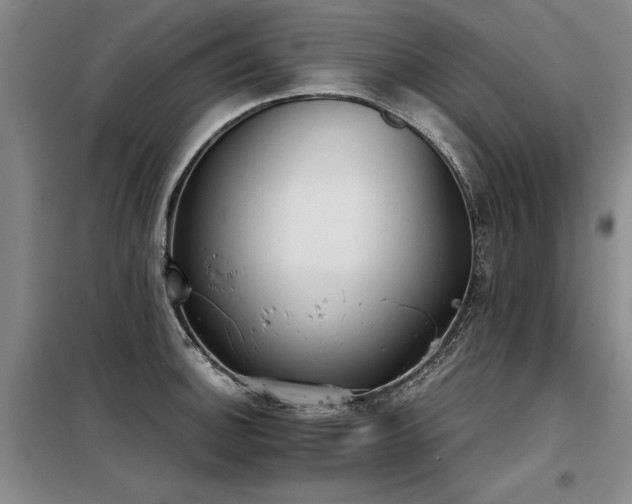 X0000098141140200804171541