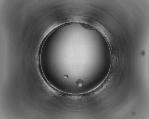X0000098141141200804171541