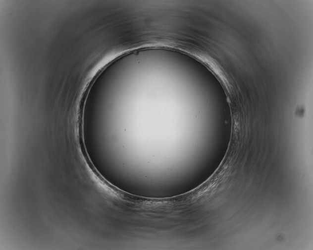 X0000098141143200804171541