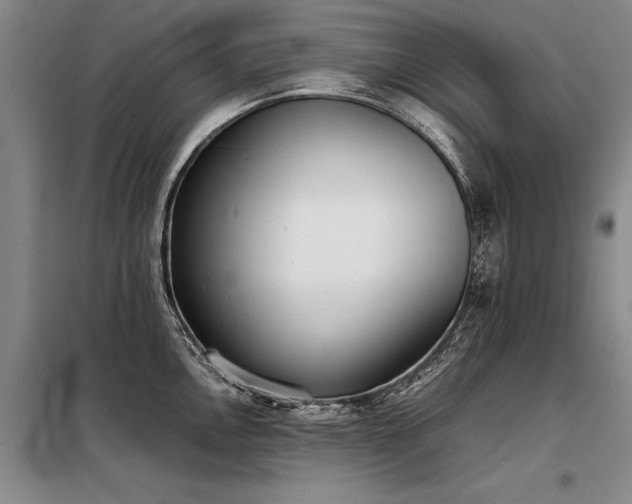 X0000098141146200804171541
