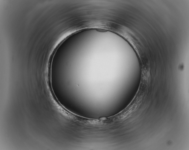 X0000098141147200804171541