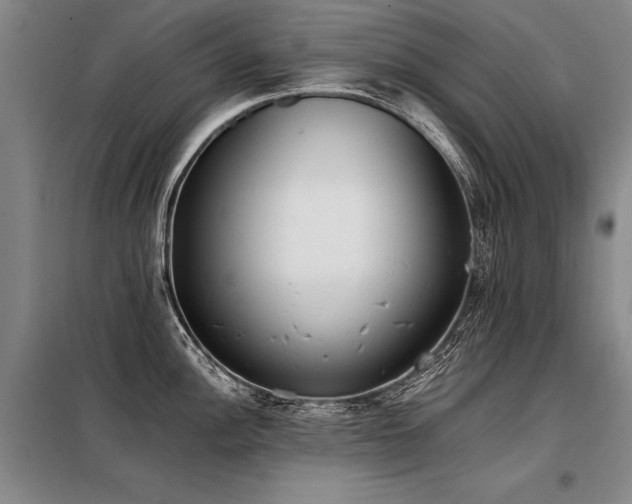 X0000098141148200804171541