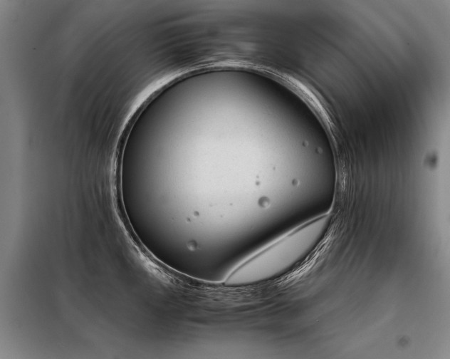 X0000098141149200804171541