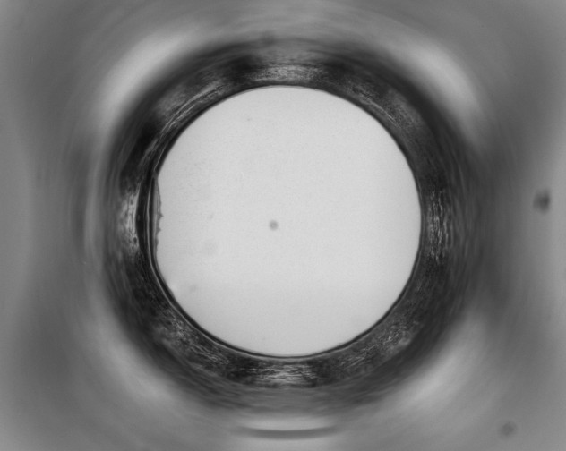 X0000098141150200804171541