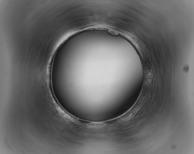 X0000098141151200804171541