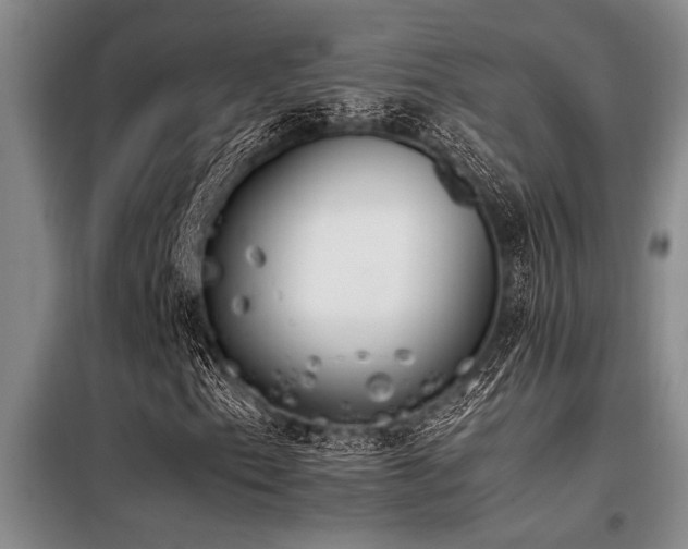 X0000098141153200804171540