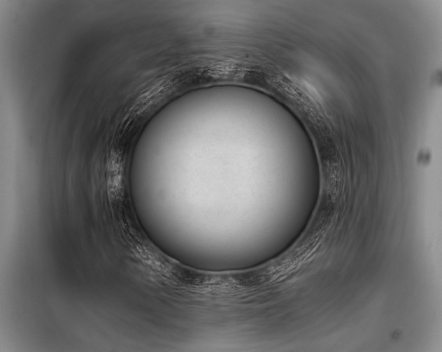 X0000098141154200804171540