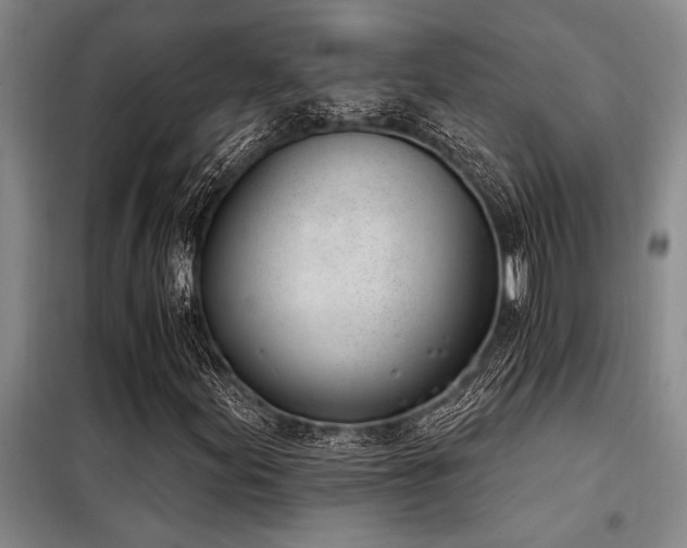 X0000098141155200804171540