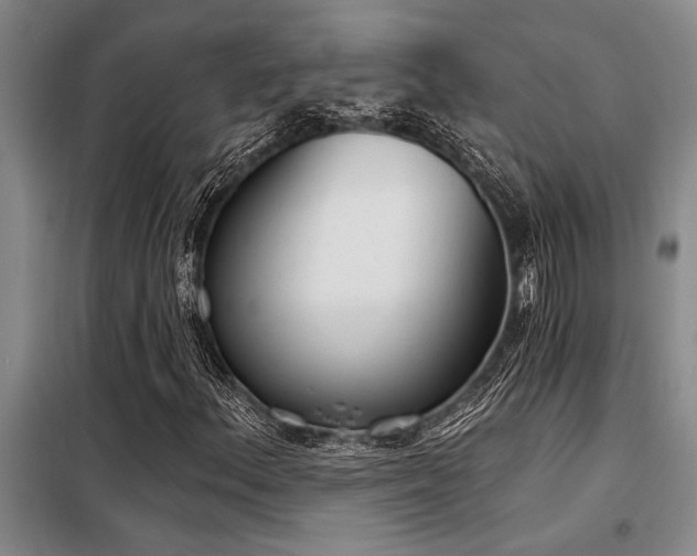 X0000098141156200804171540