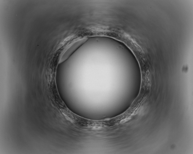 X0000098141157200804171540