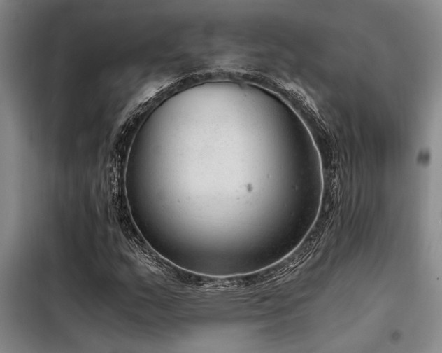 X0000098141159200804171540