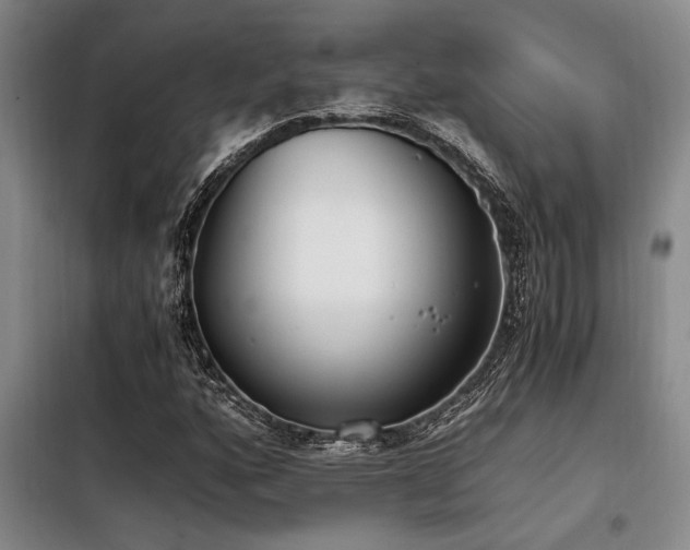 X0000098141160200804171540