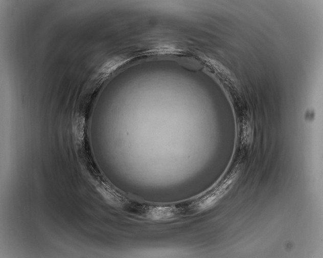 X0000098141161200804171540