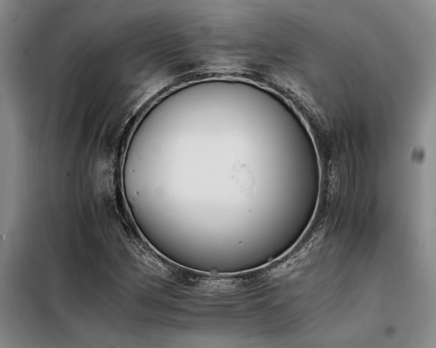 X0000098141162200804171540