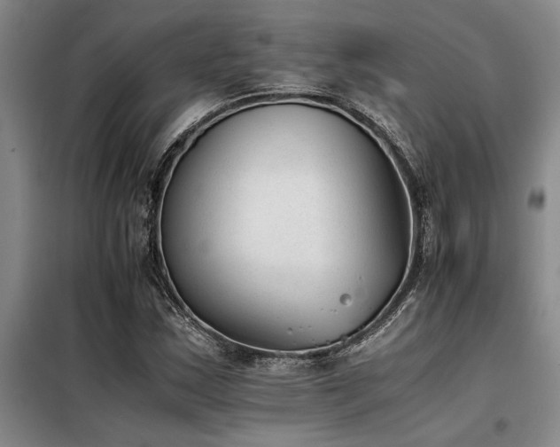 X0000098141163200804171540