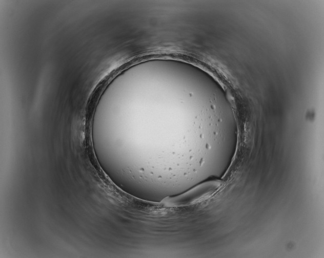 X0000098141165200804171540