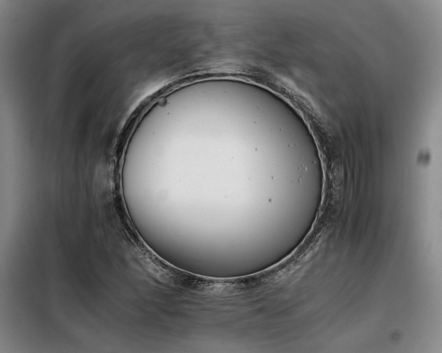 X0000098141166200804171540