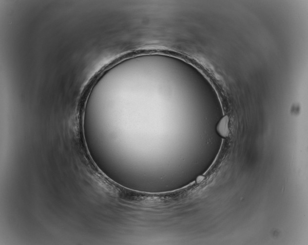 X0000098141167200804171540