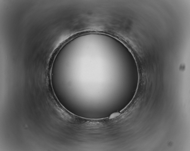 X0000098141168200804171540