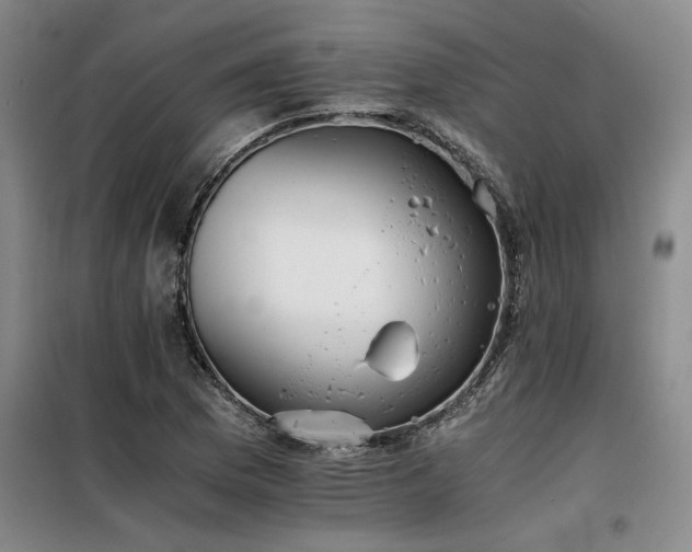 X0000098141169200804171540