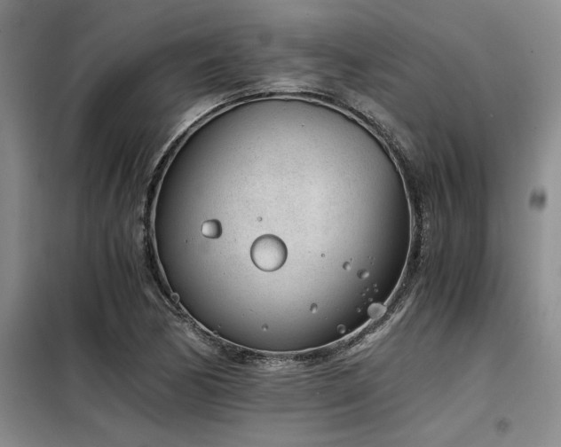 X0000098141170200804171540
