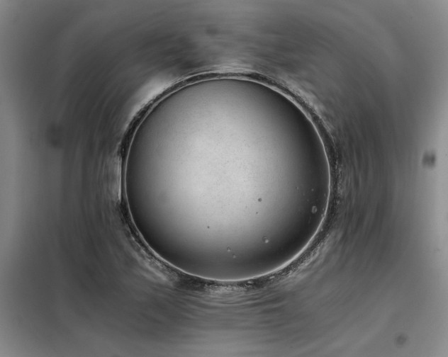 X0000098141171200804171540
