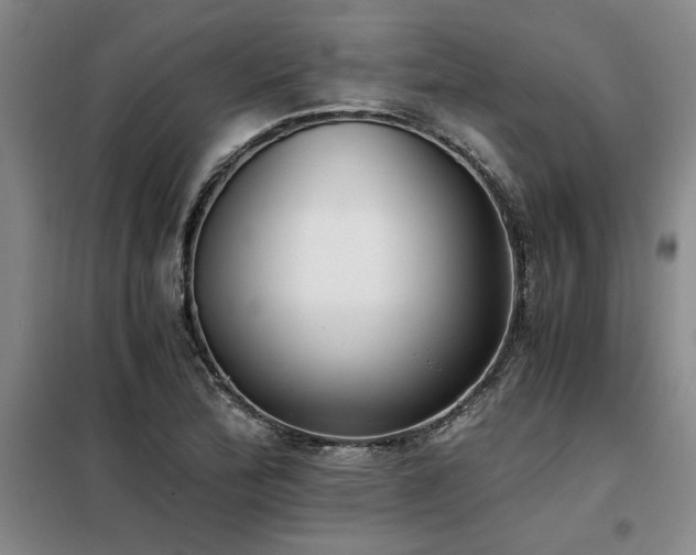 X0000098141172200804171540