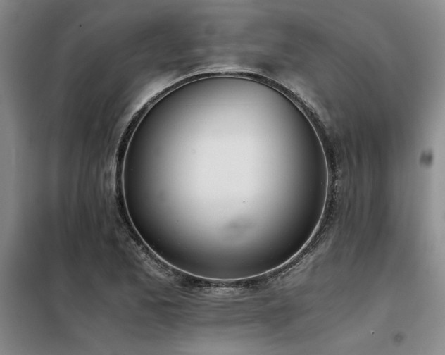 X0000098141173200804171540