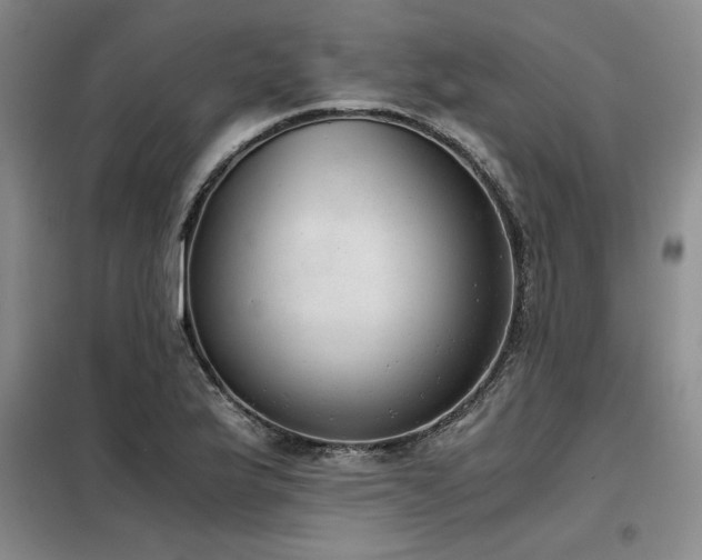 X0000098141175200804171540