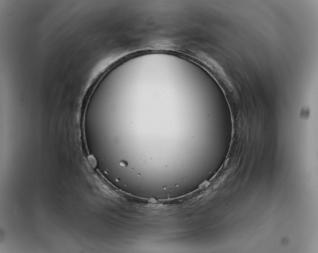X0000098141176200804171540