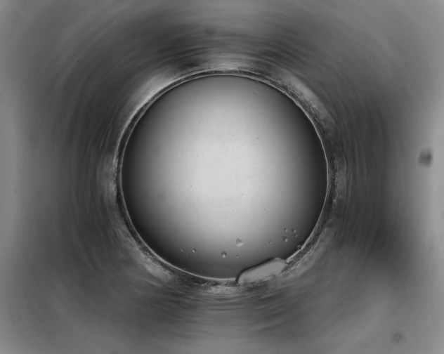 X0000098141178200804171540
