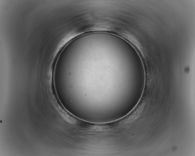 X0000098141179200804171540