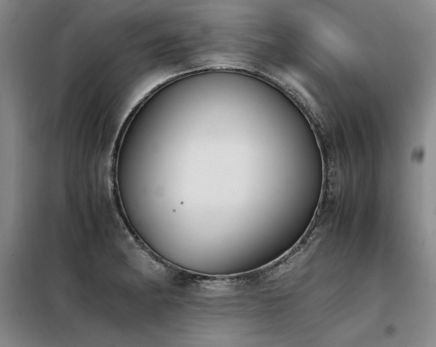 X0000098141182200804171540