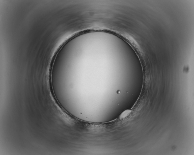 X0000098141183200804171540