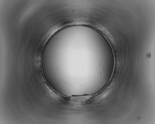 X0000098141185200804171540