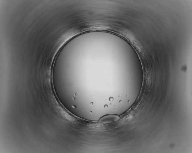 X0000098141186200804171540