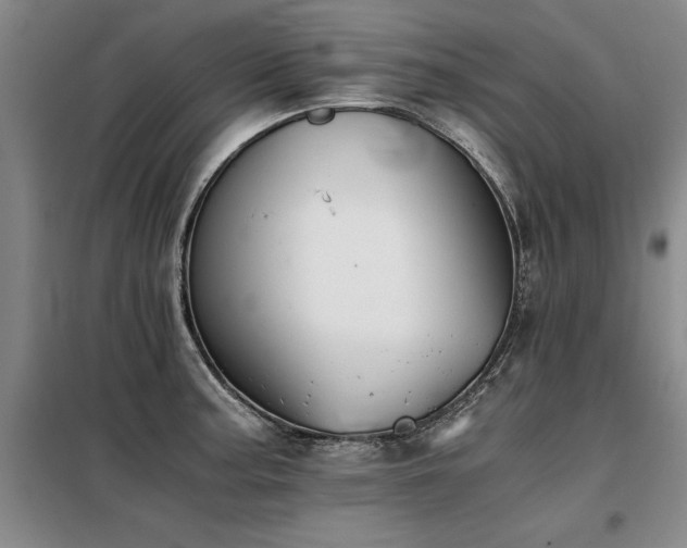 X0000098141187200804171540