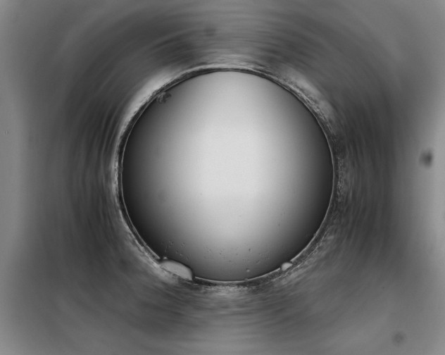 X0000098141188200804171540