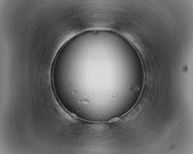 X0000098141189200804171540