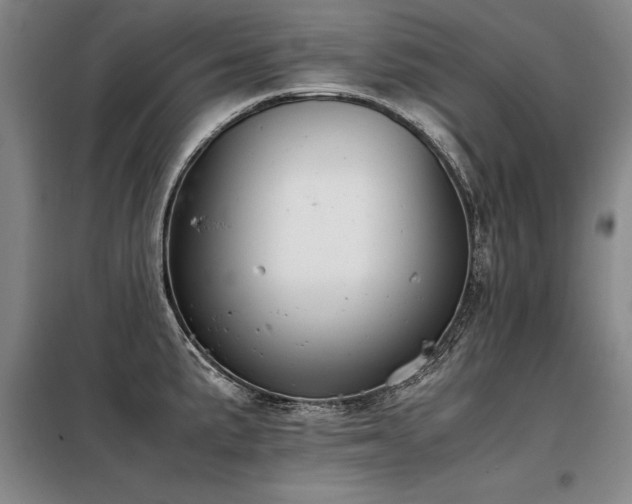 X0000098141191200804171540