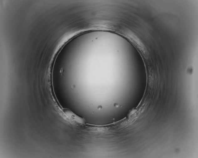 X0000098141192200804171539