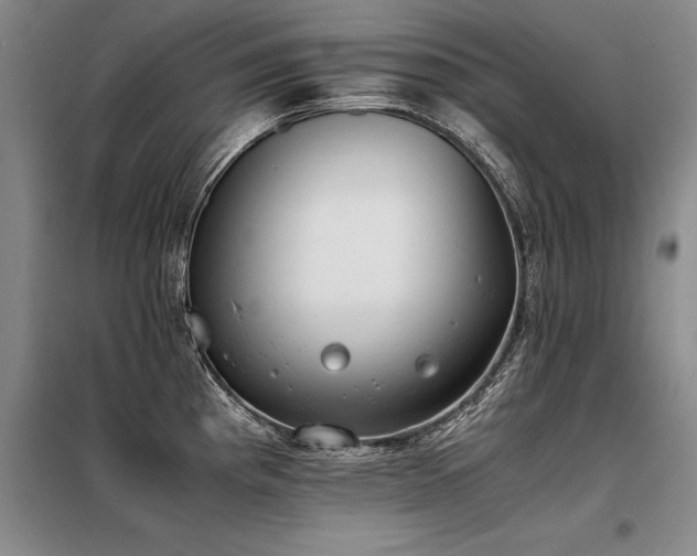 X0000098141193200804171539
