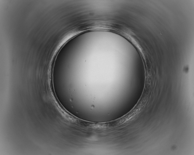 X0000098141195200804171539