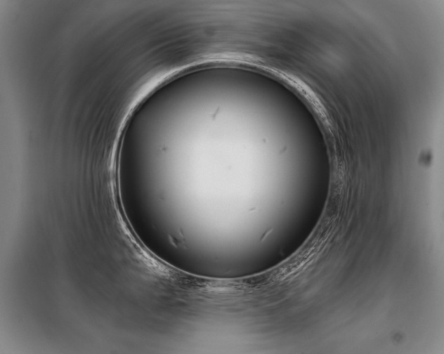 X0000098141199200804171539